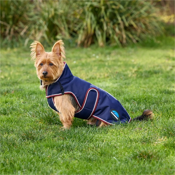 2025 Weatherbeeta Comfitec Premier Deluxe Waterproof Dog Coat 1028800 - Navy
